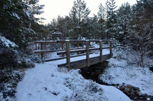 allt mor     