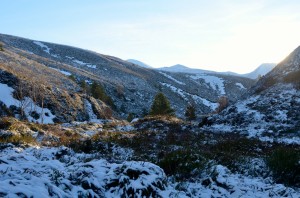 allt mor     