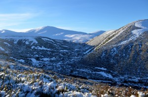 allt mor     