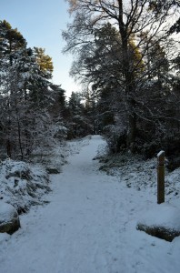 allt mor     
