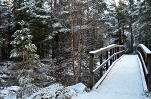 allt mor     
