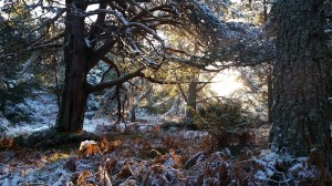 allt mor beauty    