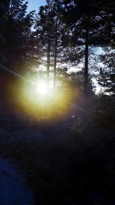 allt mor fog    